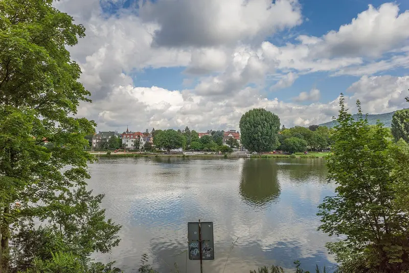 Neckarwiese in Heidelberg-Neuenheim mit Blick über den Neckar