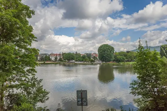 Neckarwiese in Heidelberg-Neuenheim mit Blick über den Neckar